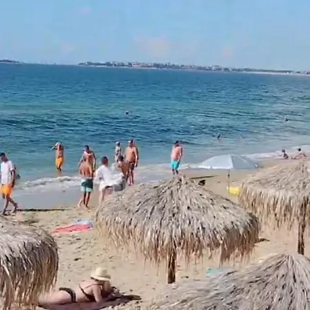 Garden Of Eden - Panorama C2 * Sweti Wlas