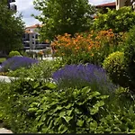 Apartment Garden Of Eden - Panorama C2 Reymar Sweti Wlas
