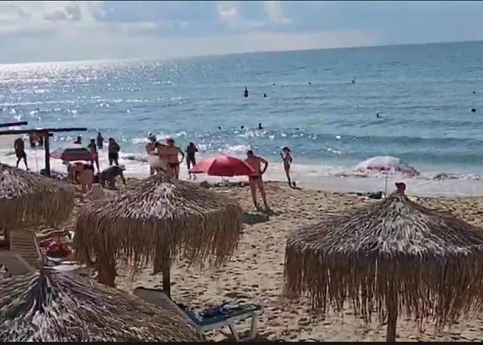 Garden Of Eden - Panorama C2 דירה סבטי ולאס